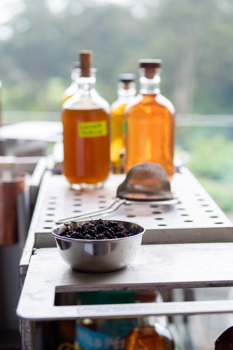 A stainless steel bowl of freshly foraged mulberries sits on an aviation-style bar trolley beside amber bottles of house-made syrups, capturing Trolley’d’s sustainable mixology in flight.