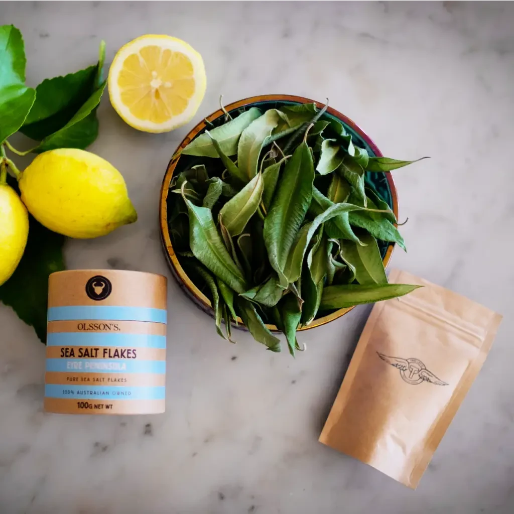 Cocktail Party Kit - With Shaker & Strainer - Stay-At-Home