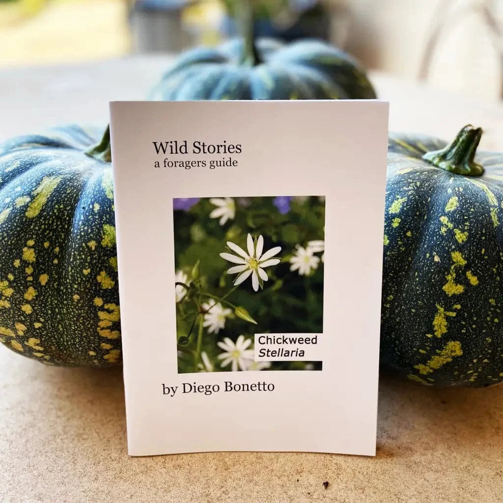 Cocktail Party Kit - With Shaker & Strainer - Stay-At-Home