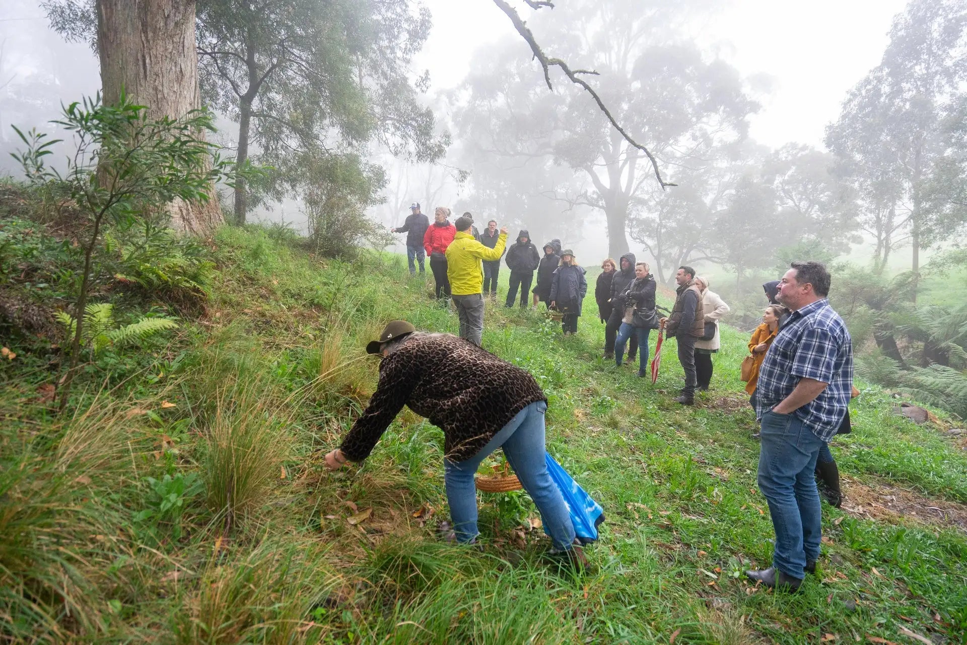 Guided wild edible walk in the Southern Highlands before the regenerative cocktail atelier