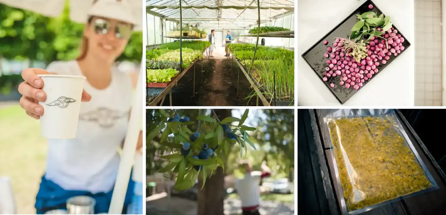 White paper coffee cup with a subtle gray logo