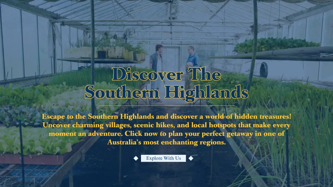 Southern Highlands tourism advertisement featuring mobile bar hire and cocktail class options.