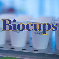 Close-up of Trolley'd Biocups with custom stamps, showcasing eco-friendly and customizable drinkware options for events.