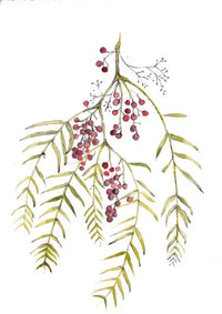A hand-painted branch of the Peruvian Pepper Tree featuring delicate, fern-like leaves and clusters of pink peppercorn berries against a white background