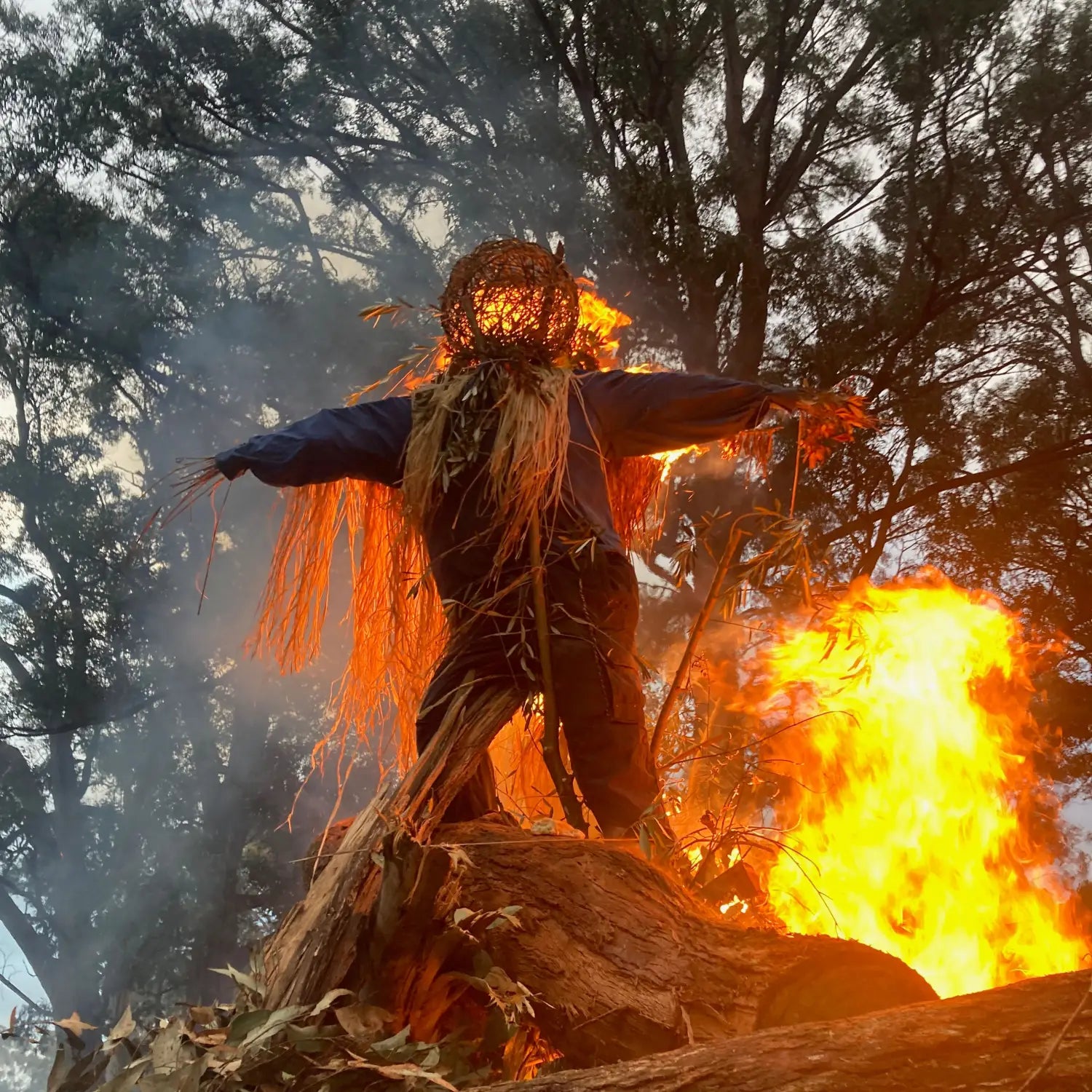 ’Highlands’ - A Winter Solstice Event