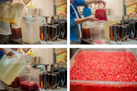 Kombucha Recipe: Riberry, Lemon Myrtle & Mandarin