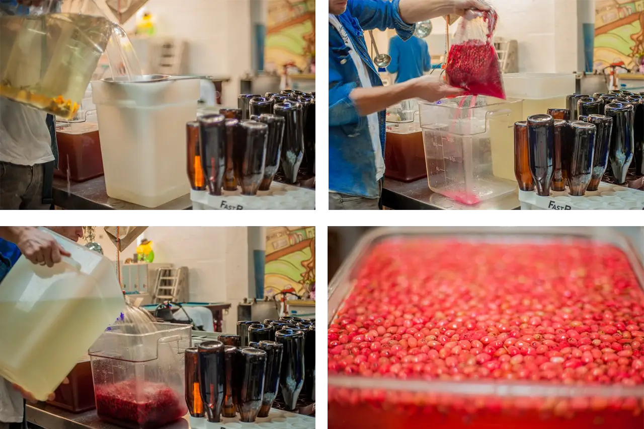 Kombucha Recipe: Riberry, Lemon Myrtle & Mandarin