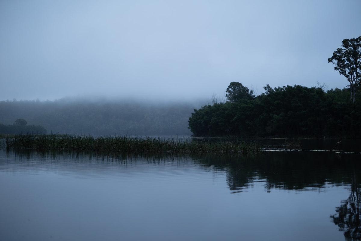 Morning mist above still water and forest at Lake Yarrunga