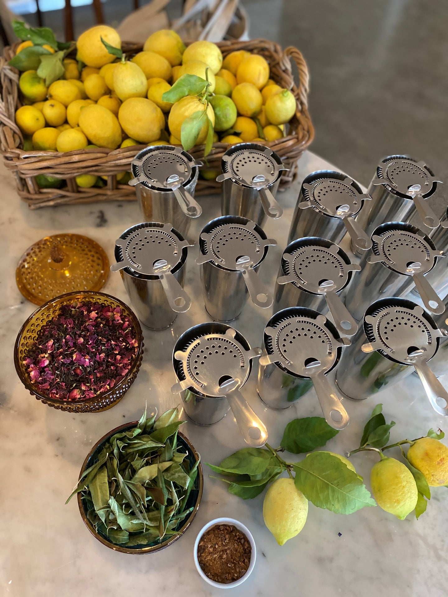 Cocktail shakers with strainers arranged beside fresh lemons and botanicals, prepared for a guided virtual cocktail class.