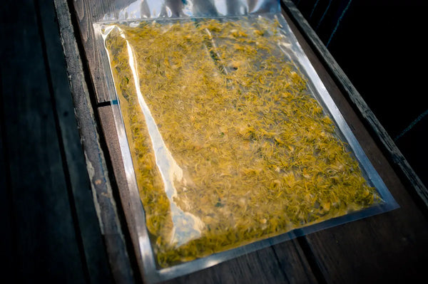 A vacuum-sealed bag filled with dandelions, prepared for infusion at Trolley'd, placed on a wooden surface, capturing the essence of fresh, locally foraged ingredients.