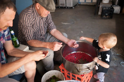 A family gathering Riberries, featuring a large pot filled with the bright red fruits, showcasing a sustainable foraging practice passed through generations.