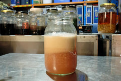 A jar of milk punch mixture curdling during the clarifying process, highlighting the separation of solids