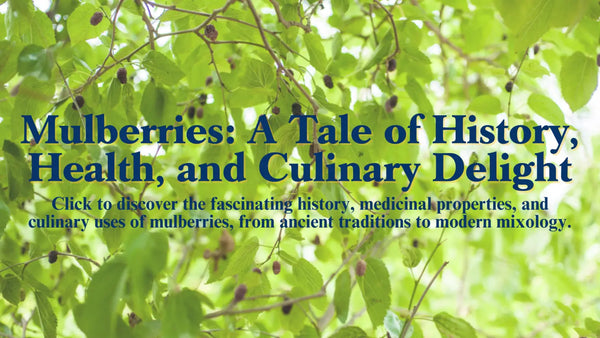 Mulberries, a culinary history click through hero image with title on front