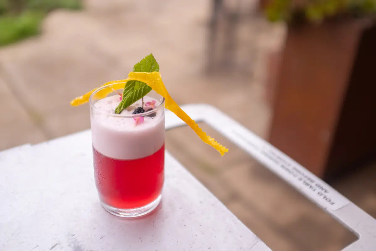 A vibrant pink cocktail infused with mulberry and native botanicals, topped with foam, fresh leaf, and citrus peel garnish — Trolley’d’s signature foraged mixology served in eco-luxury style.