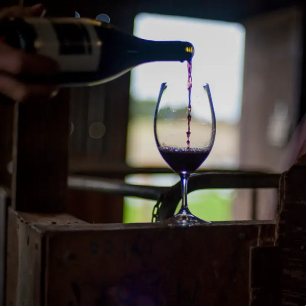 A bottle of red wine being poured into a glass in a rustic, dimly lit setting, capturing the ambiance and elegance of a Trolley'd event.