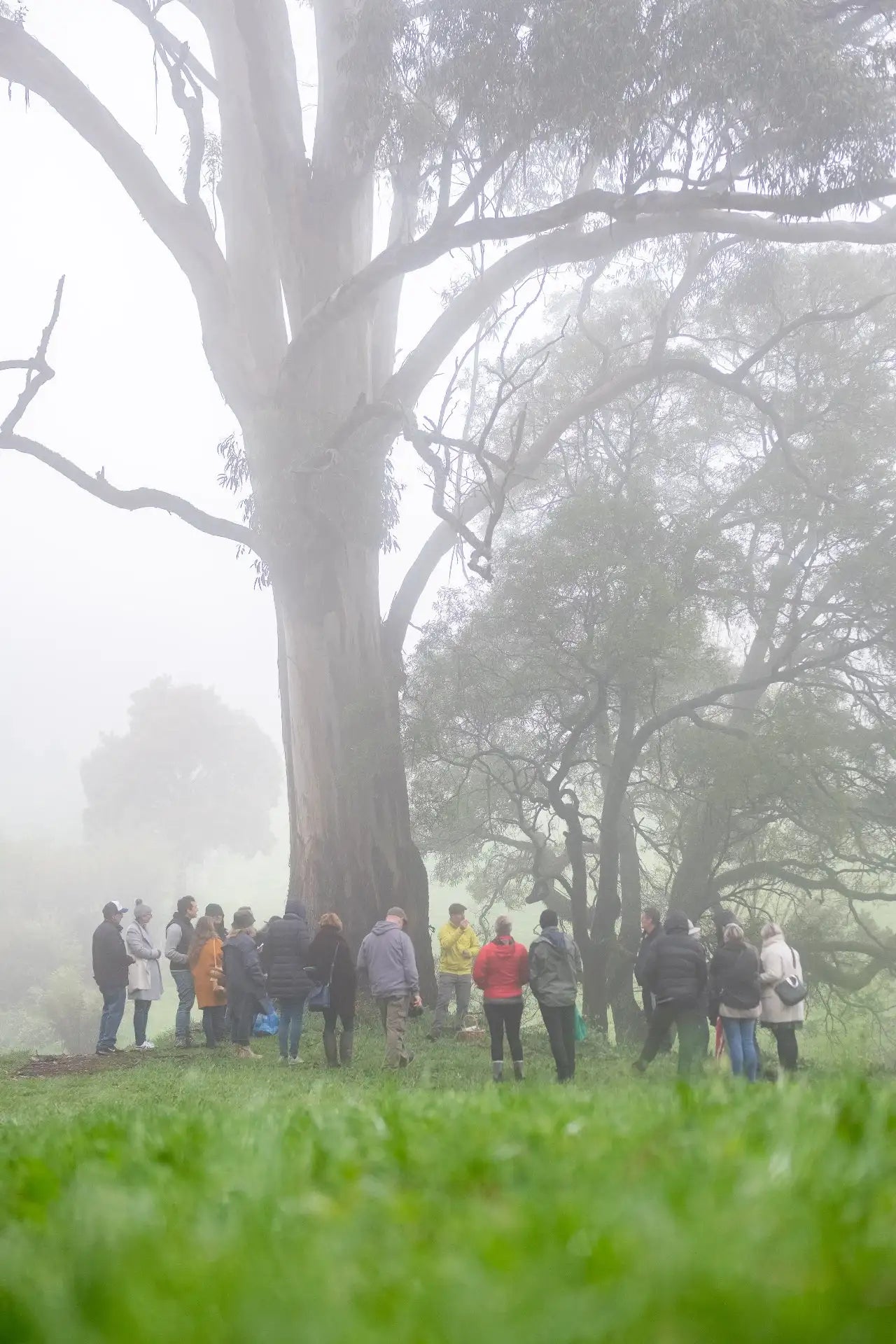 Guests gathering outdoors in the Southern Highlands during a sustainability-focused cocktail experience