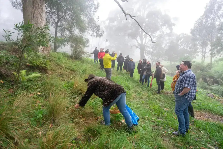 A person in a black patterned jacket and blue jeans bends over, gathering tall green grass with one hand while holding a woven basket filled with foliage.