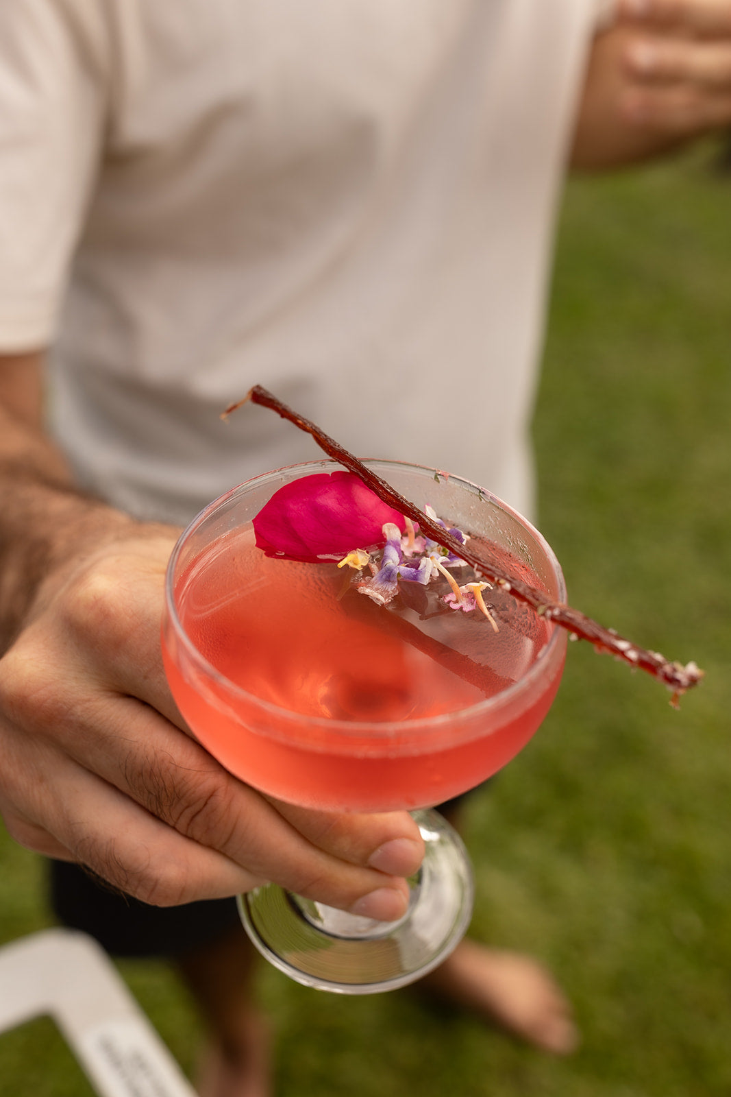 A red botanical cocktail in a coupe glass with a flower garnish