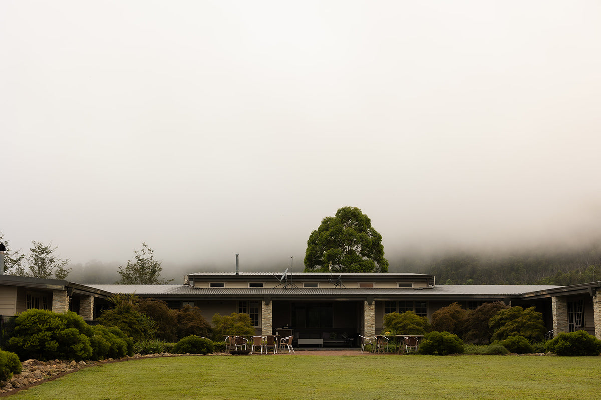 The Lake David lodge and planted garden in morning mist