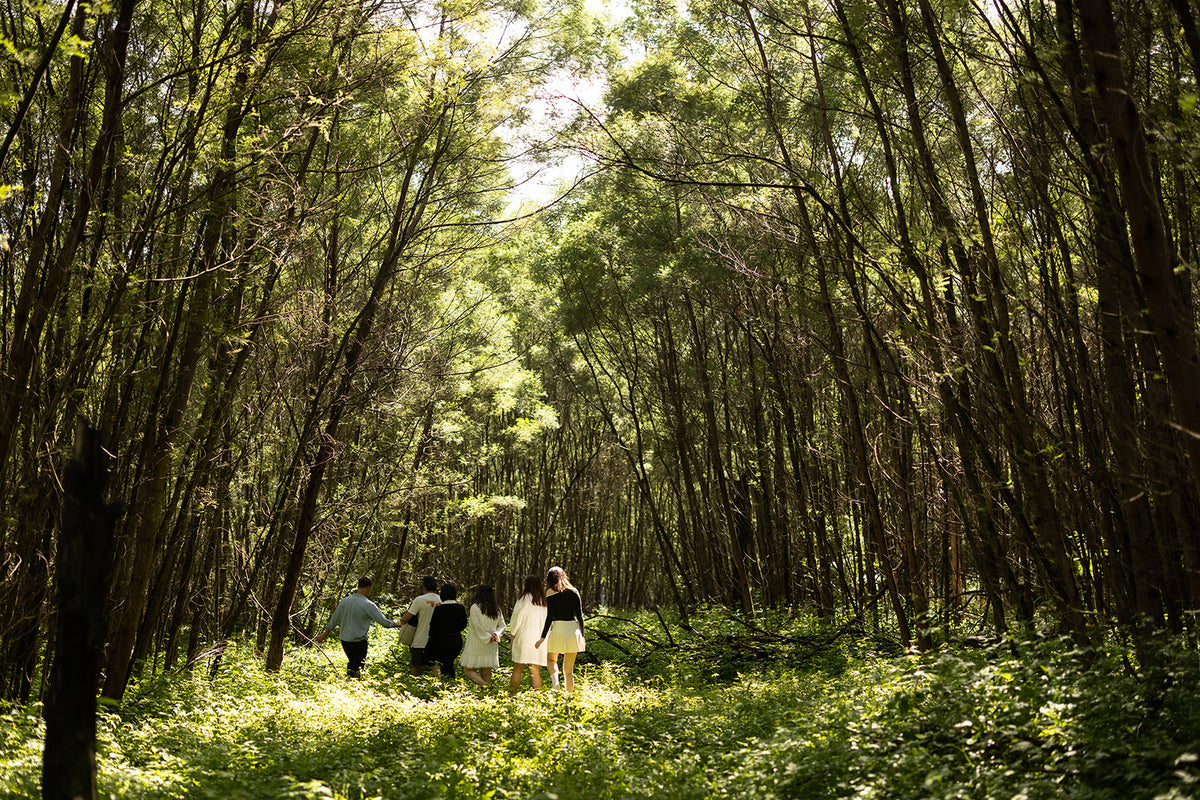 Guests and hosts walking through sunlit woodland during the March Lake David activation